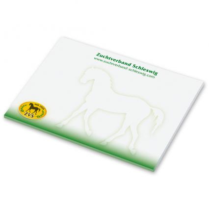 Sticky Notes 100x72mm